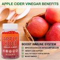 Private Label Dietary Supplement Apple Cider Vinegar Gummies as fat burner